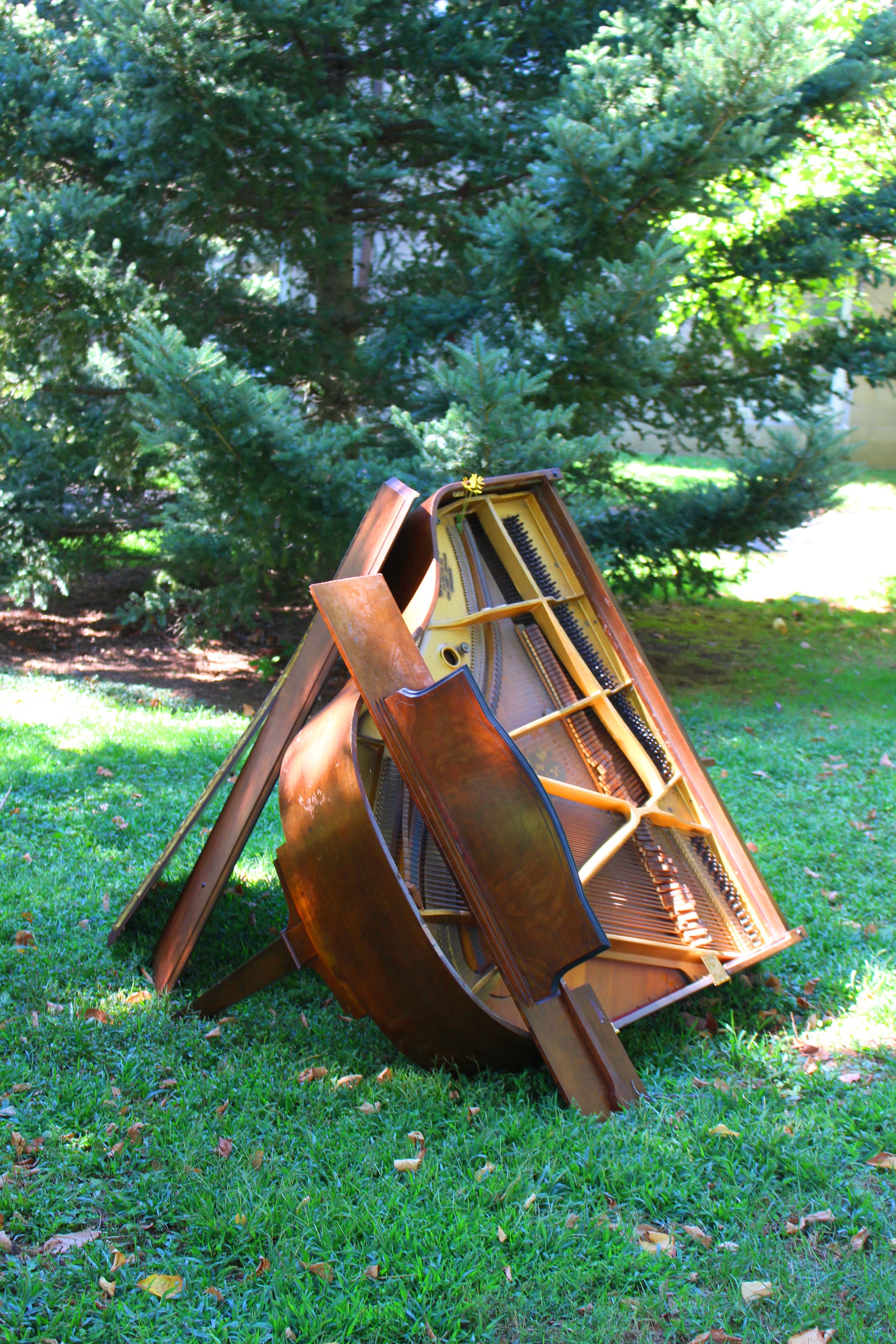 Lost Instruments And Found Meaning In Music The Arrival Of Chopin 