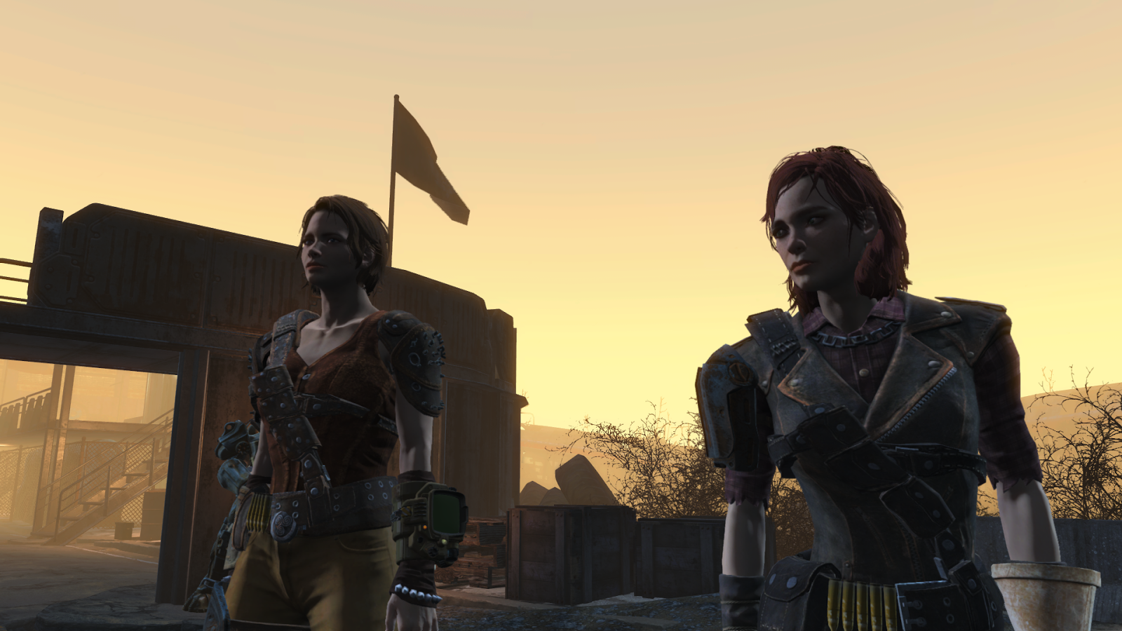 Fallout 3 - My new companion, The slightly lesbian looki…